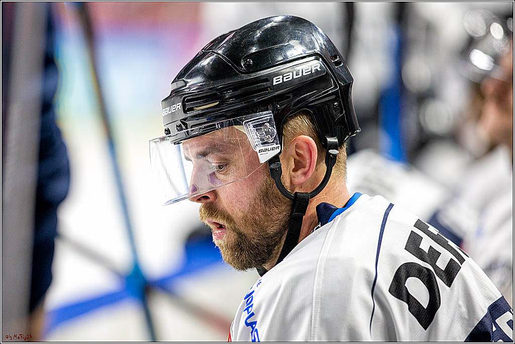 DEL; Koelner Haie - Straubing Tigers; Koeln, 17.11.2019